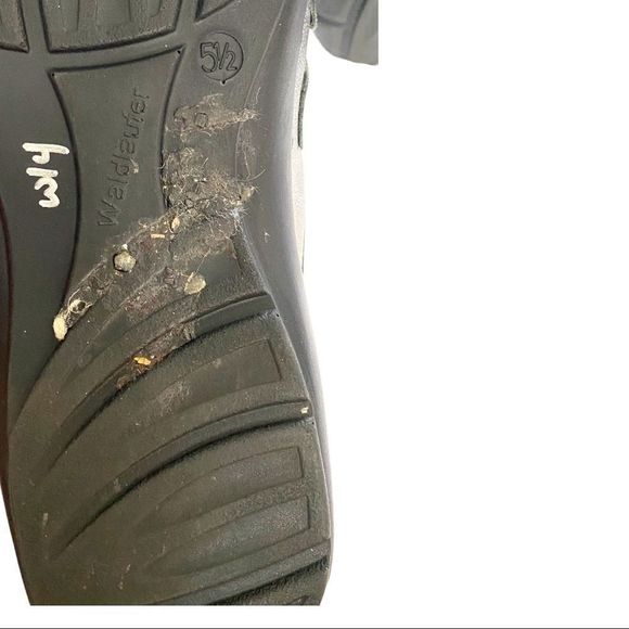 Stuart Weitzman Suede Low Top Sneakers SZ 6W - Picture 6 of 9